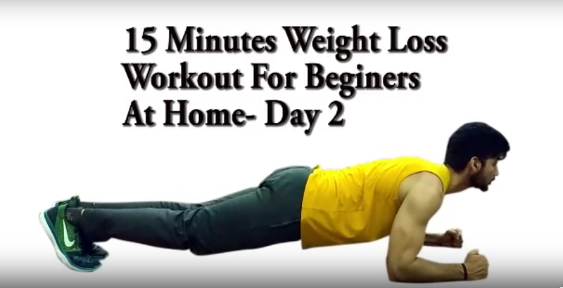 15 minutes weight loss workout beginners home day 2